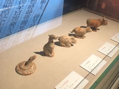 -台州博物馆
