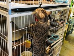 -小时光咖啡馆(北锣鼓巷店)