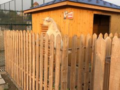 -上海崇明金茂凯悦酒店