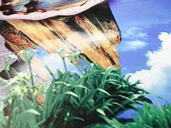 -上海昆虫博物馆