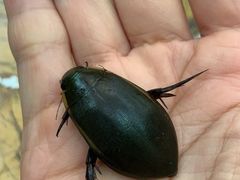 -莫华(锦绣趣园北街店)