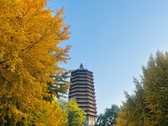 -玲珑塔公园