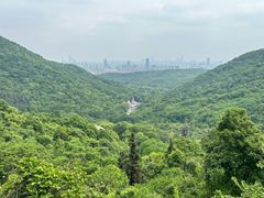 -南京老山国家森林公园