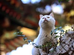 -大禹家·海鲜面馆(新闸路店)