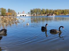 -长春市南湖公园