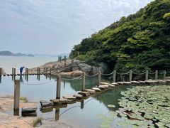 -桃花岛风景旅游区
