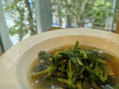 豆苗-茹·pure vegan(博华广场店)