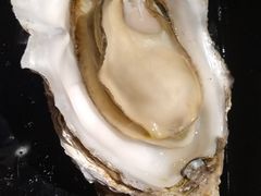 炭烤原味大生蚝-烧货·活海鲜炭烧(湖滨商业街店)