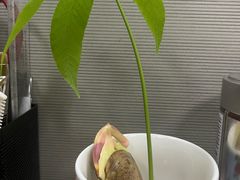 -品鲜村农家菜·阳澄湖大闸蟹(总店)