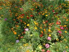 -永定河休闲森林公园