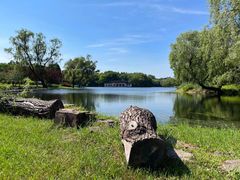 -上海共青森林公园