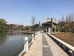 -荆川公园