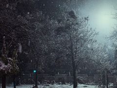 -紫金山山顶公园