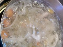 -淼福猪肚鸡·椰子鸡火锅(大沙地店)