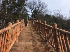 -塔云山