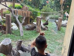 -熊猫自助餐厅.萌趣城堡(长隆熊猫酒店)