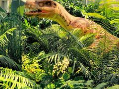 -国家植物园南园