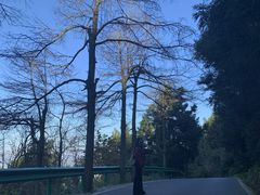 -南岳衡山风景名胜区