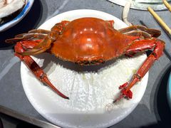 -奔海甄选·活鲜刺身铁板烧自助(太原里店)