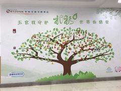 -复旦大学附属眼耳鼻喉科医院(浦江院区)
