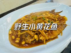 野生小黄花鱼-金沙滩海鲜餐厅(龙水园店)