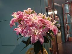 -南堂馆·新川菜(春熙路店)