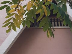 -黑龙江省森林植物园