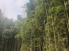 -苏州河梦清园环保主题公园