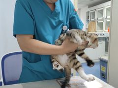 -宠颐生动物医院·心脏科·保险定点(锦阳分院)