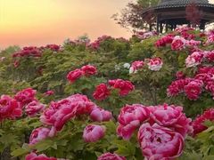 -水浒好汉城