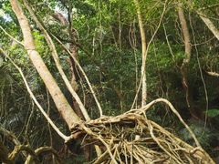 -七仙岭温泉国家森林公园