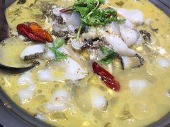酸汤鱼-雀舞云南菜(乐客城店)