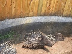 -云南野生动物园
