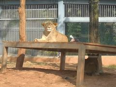 -昆明动物园