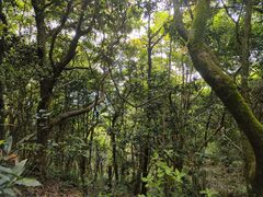 -梧桐山风景名胜区