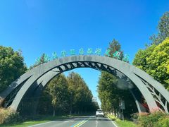 -黄海国家森林公园