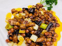 -芙蓉凰花园酒楼