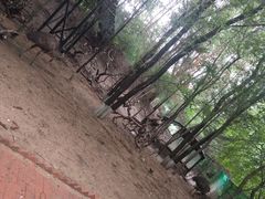 -大鹅岛绿色生态美食园