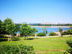 -安宁市宁湖森林公园