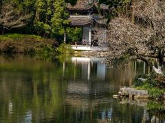 -杭州植物园