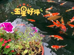 -华庭苑农家乐(旺山店)