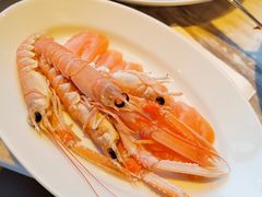 -君悦酒店·乐厨·高空自助餐(青年大街店)
