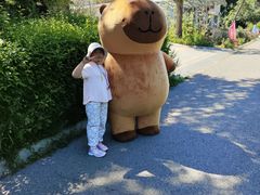 -燕塞湖鸟语林景区