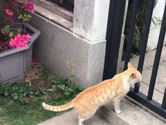 -恩宁刘福记(东华东路店)