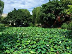 -西南交通大学(九里校区)