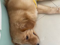 -怪兽屋·羊驼·猫咖·狗咖(俊华广场店)