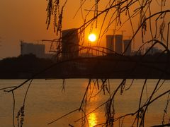 -海珠湖公园