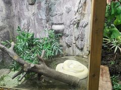 -上海大自然野生昆虫馆(东方明珠·爬宠昆虫探索中心)