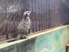 -昆明动物园