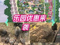 -灵玲国际马戏城